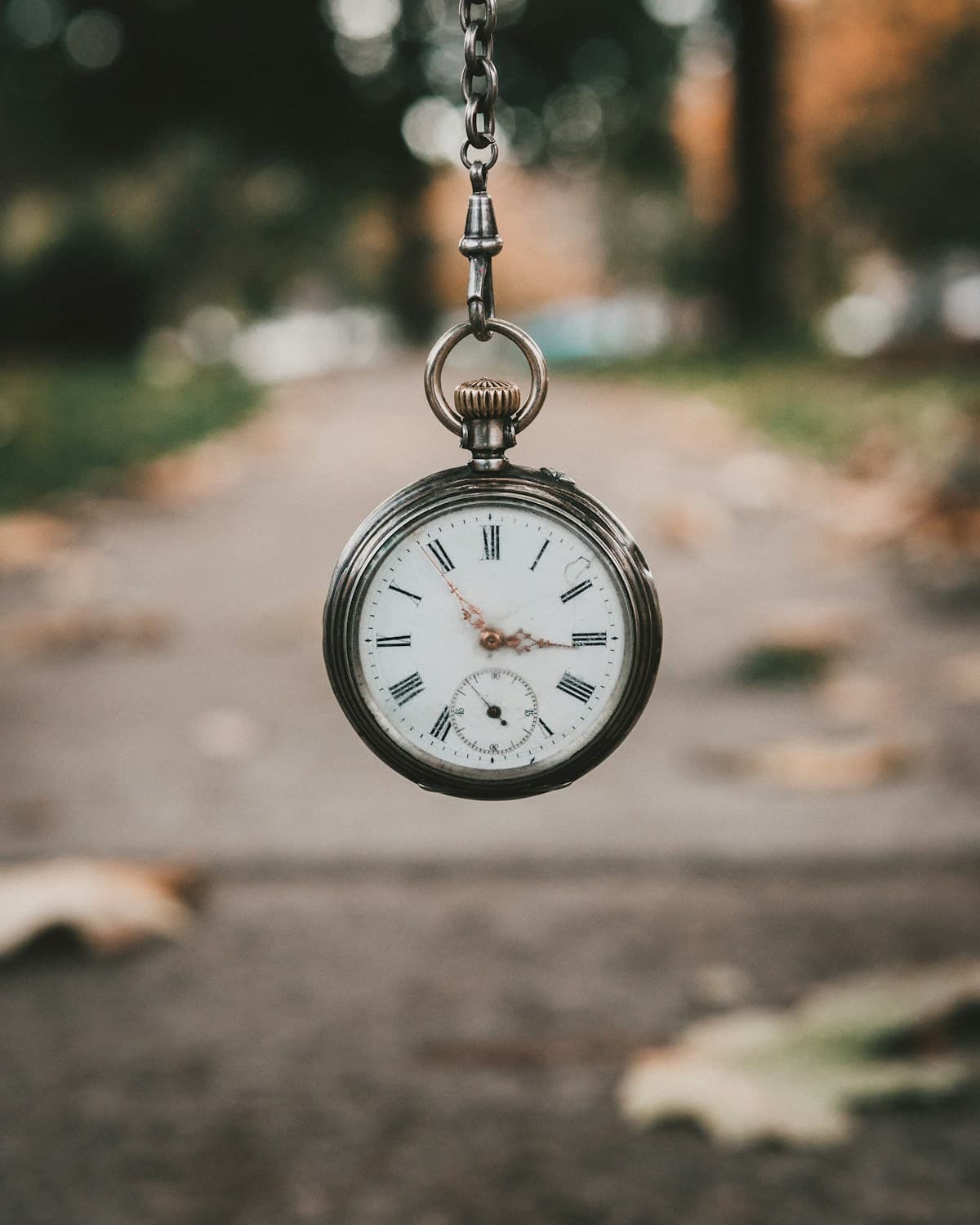 Koshishein heritage watch